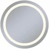 Robern Vitality 40 in. 2700K Anodized Aluminum Frameless Round Mirror with Light Inset
