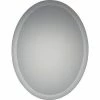 Quoizel Reflections 28 x 22 in. Frame Oval Mirror