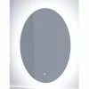 Signature Hardware Fahlman 23-5/8 in. Oval Lighted Mirror with Tunable LED in Silver
