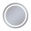 Robern Vitality 30 in. 4000K Anodized Aluminum Frameless Round Mirror with Light Inset